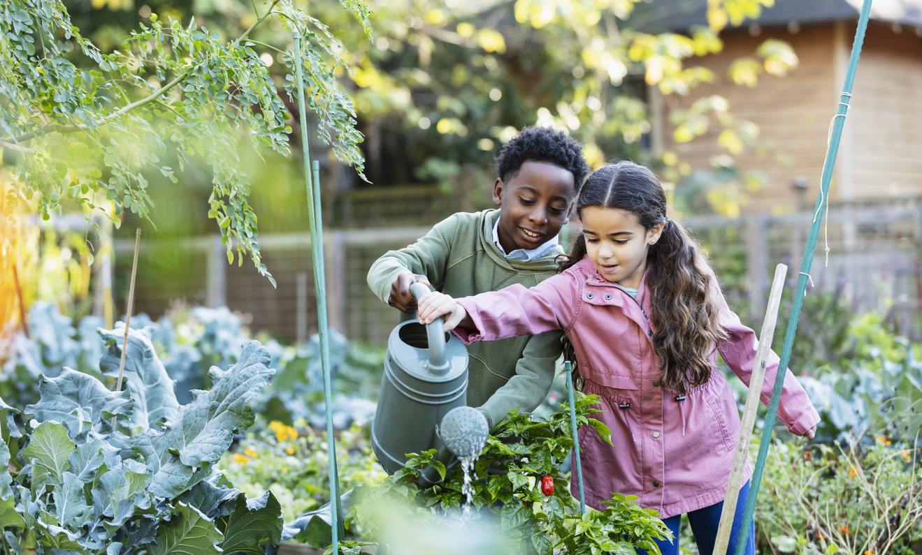 Two multiracial children taking care of plants at a community garden. The 10 year old African-American boy and his friend, a 7 years old Hispanic girl, are holding a watering can together, pouring water on the pepper plants.
